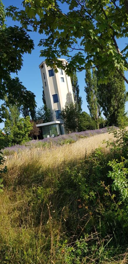 Ferienwohnung Little Joe Hotzelsroda Zewnętrze zdjęcie